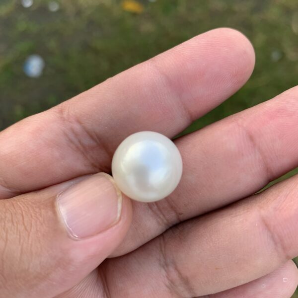 Loose Saltwater Big Size Pearl Bead: Genuine South Sea Pearl FR-17