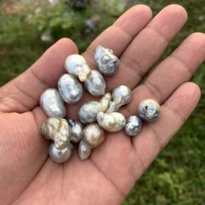 13 Pieces Saltwater Pearl Loose Indonesia Baroque Pearl Beads BoZorX Lower Grade H14-1