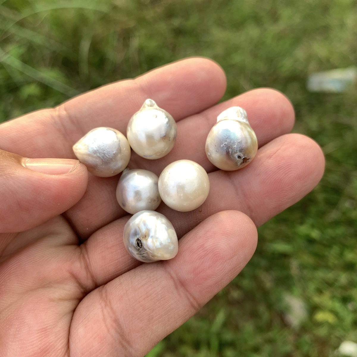 6 Pieces Saltwater Pearl Loose Indonesia Baroque Pearl Beads BoZorX Lower Grade H14-2 - Image 2