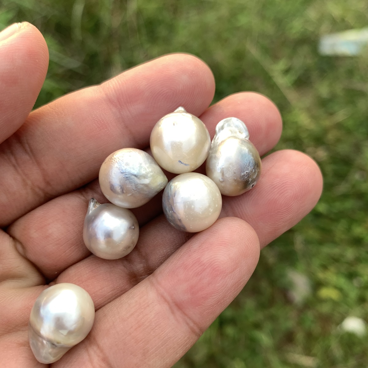 6 Pieces Saltwater Pearl Loose Indonesia Baroque Pearl Beads BoZorX Lower Grade H14-2 - Image 3