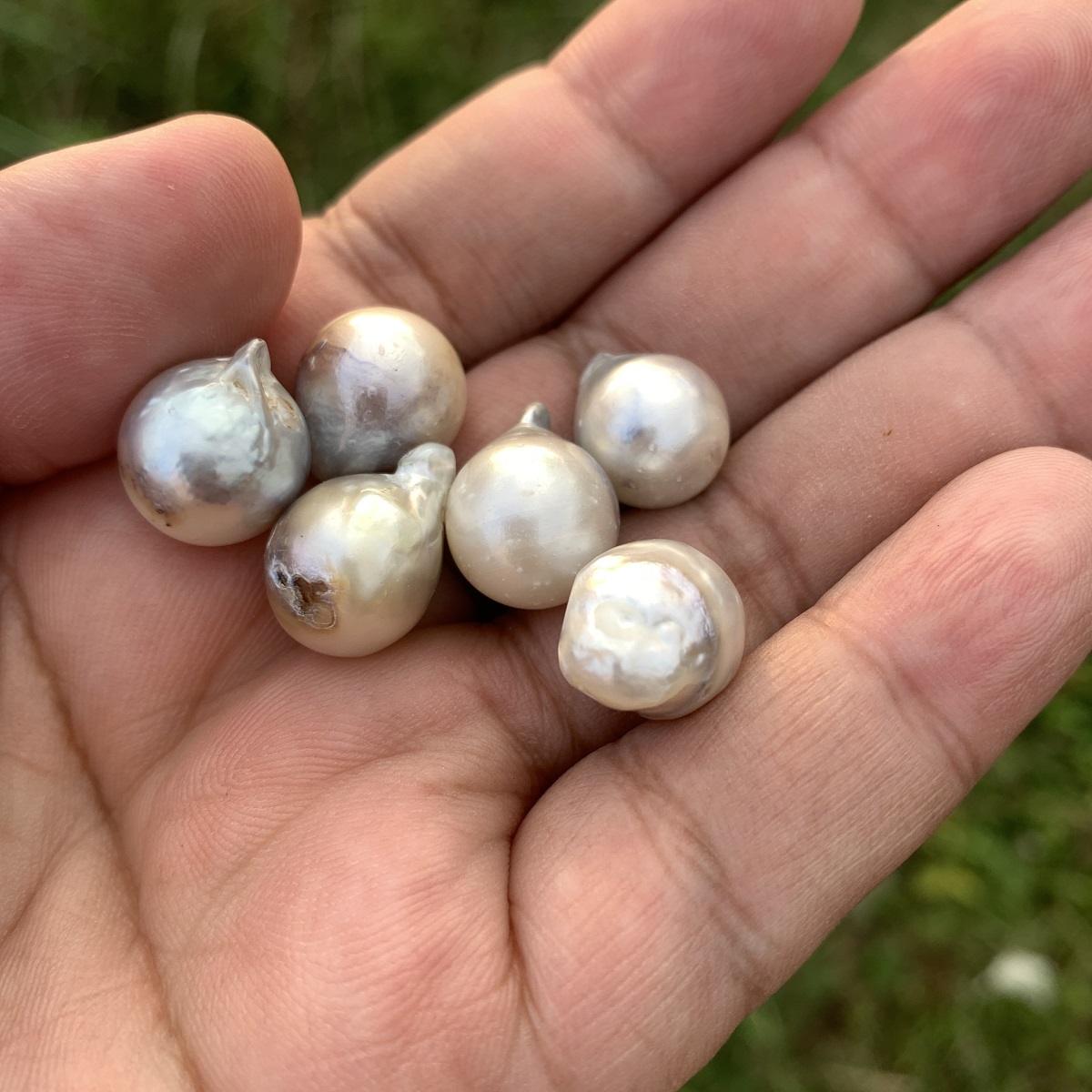 6 Pieces Saltwater Pearl Loose Indonesia Baroque Pearl Beads BoZorX Lower Grade H14-2 - Image 4