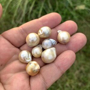 8 Pieces Saltwater Pearl Loose Indonesia Baroque Pearl Beads BoZorX Lower Grade H14-3