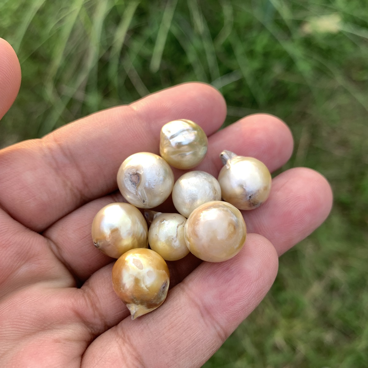 8 Pieces Saltwater Pearl Loose Indonesia Baroque Pearl Beads BoZorX Lower Grade H14-3 - Image 3