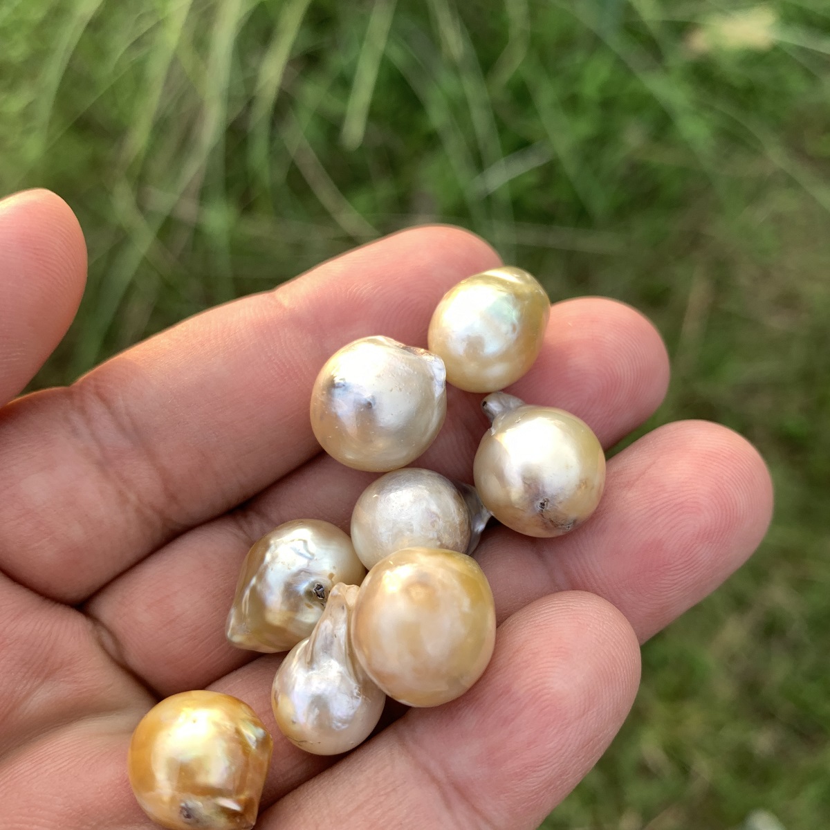 8 Pieces Saltwater Pearl Loose Indonesia Baroque Pearl Beads BoZorX Lower Grade H14-3 - Image 4