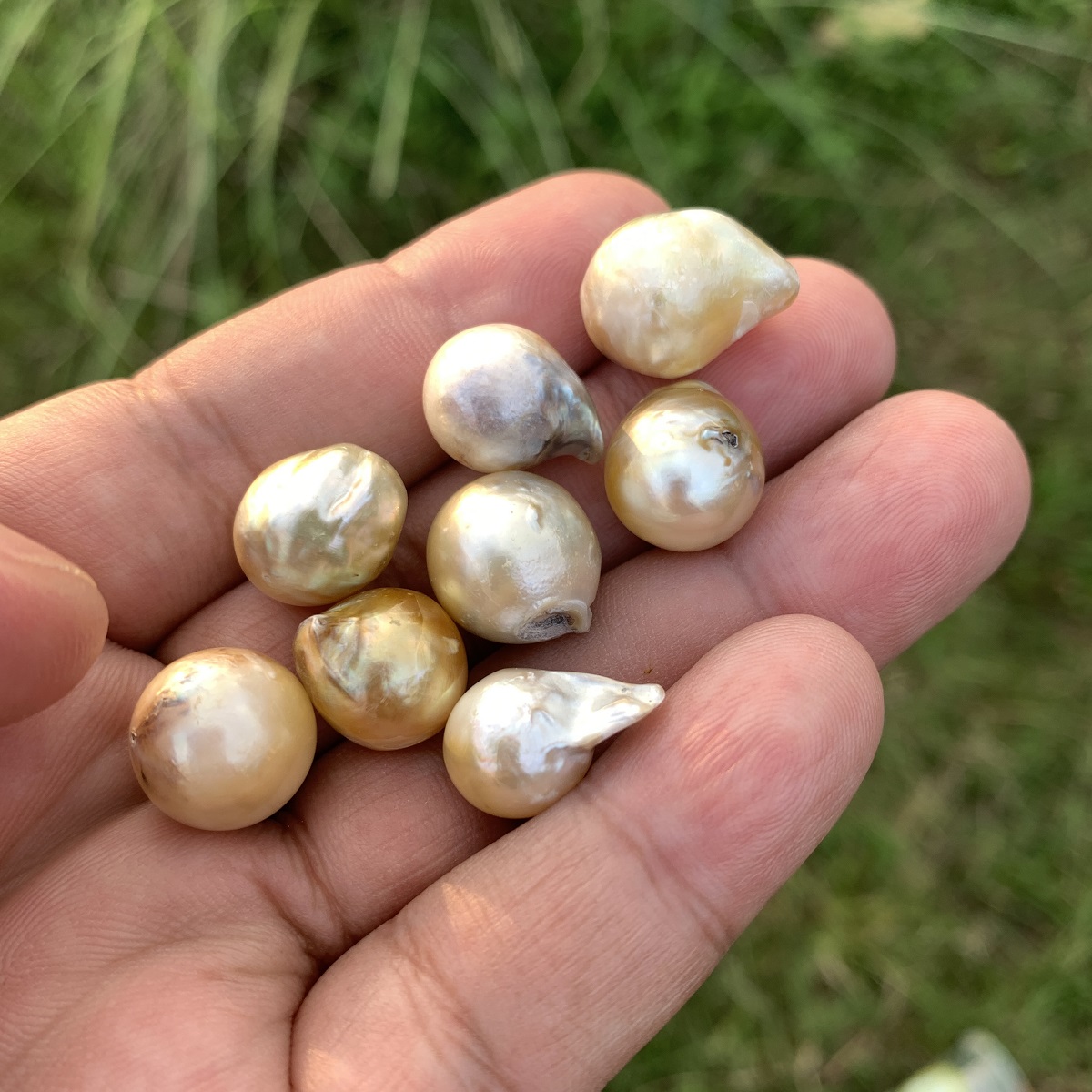 8 Pieces Saltwater Pearl Loose Indonesia Baroque Pearl Beads BoZorX Lower Grade H14-3 - Image 5