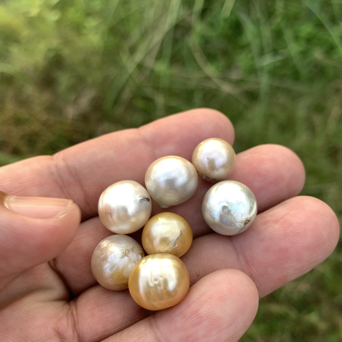 7 Pieces Saltwater Pearl Loose Indonesia Baroque Pearl Beads BoZorX Lower Grade H14-4 - Image 4