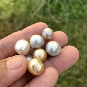 7 Pieces Saltwater Pearl Loose Indonesia Baroque Pearl Beads BoZorX Lower Grade H14-4