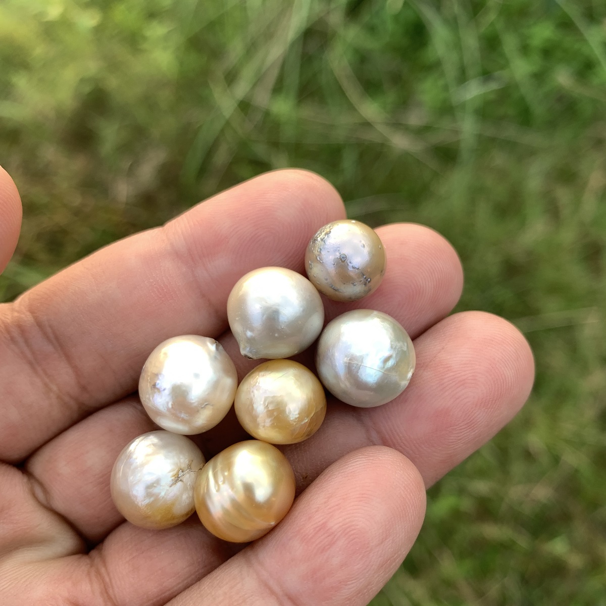7 Pieces Saltwater Pearl Loose Indonesia Baroque Pearl Beads BoZorX Lower Grade H14-4 - Image 3