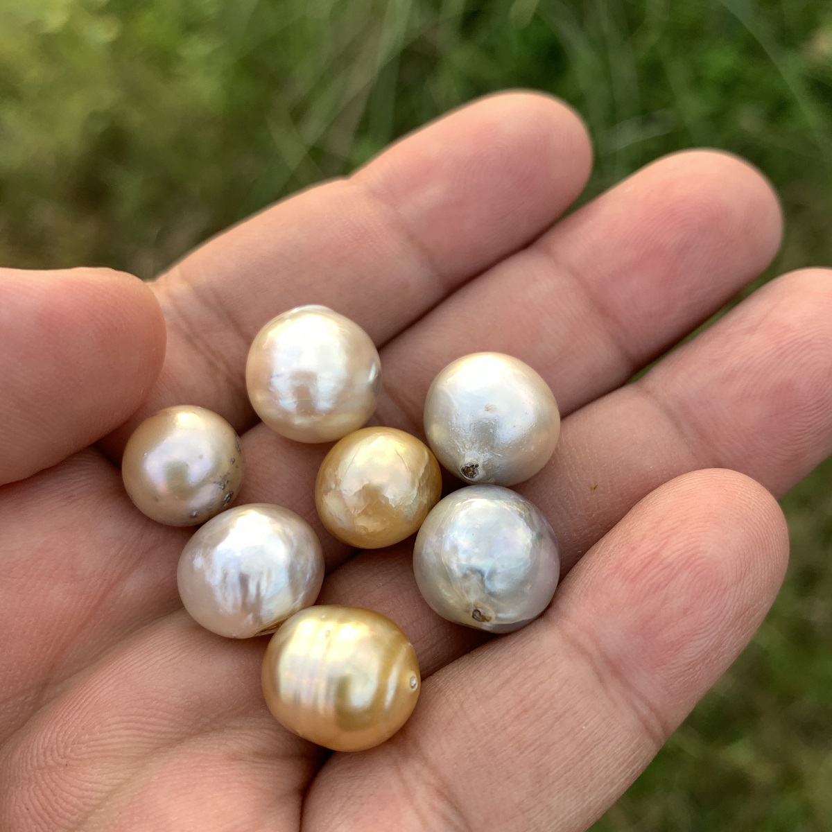 7 Pieces Saltwater Pearl Loose Indonesia Baroque Pearl Beads BoZorX Lower Grade H14-4 - Image 2