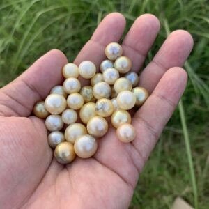 32 Pieces Loose Real Genuine Indonesia Cultured Saltwater South Sea Seawater Pearl Beads H15-2