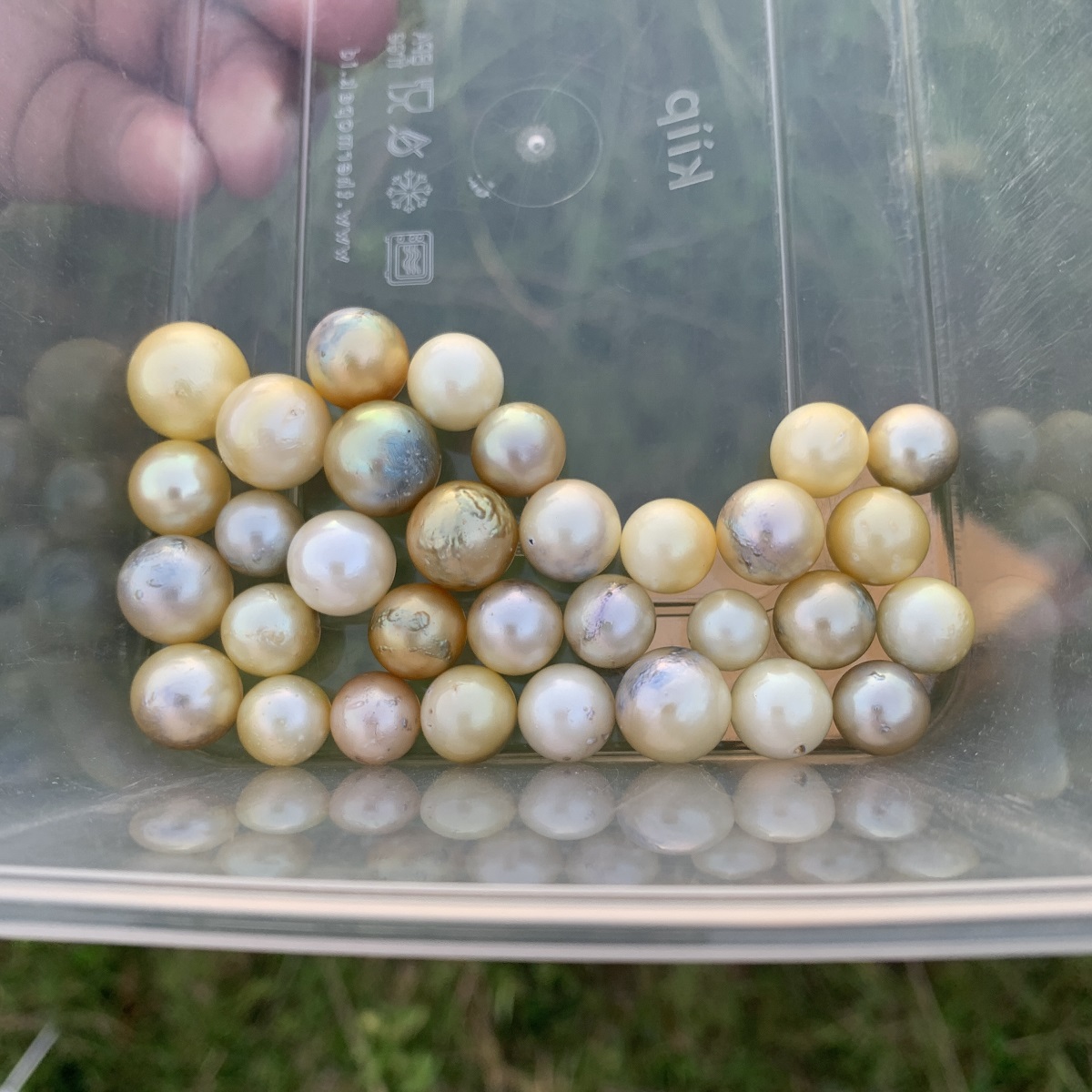32 Pieces Loose Real Genuine Indonesia Cultured Saltwater South Sea Seawater Pearl Beads H15-2 - Image 5