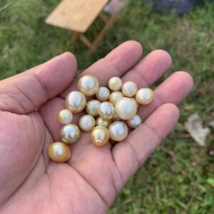 20 Pieces Saltwater Pearl Loose Indonesia South Sea Pearl Beads BoZorX H15-3