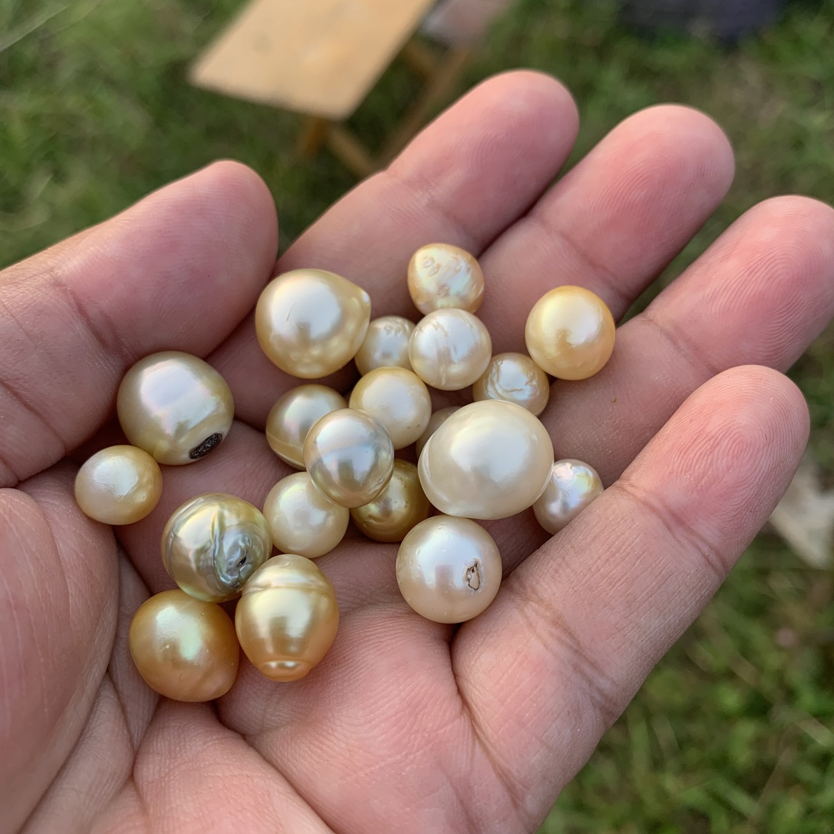 20 Pieces Saltwater Pearl Loose Indonesia South Sea Pearl Beads BoZorX H15-3 - Image 3