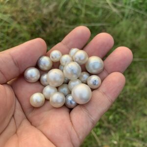 24 Pieces Loose Real Genuine Indonesia Cultured Saltwater South Sea Seawater Pearl Beads H15-1