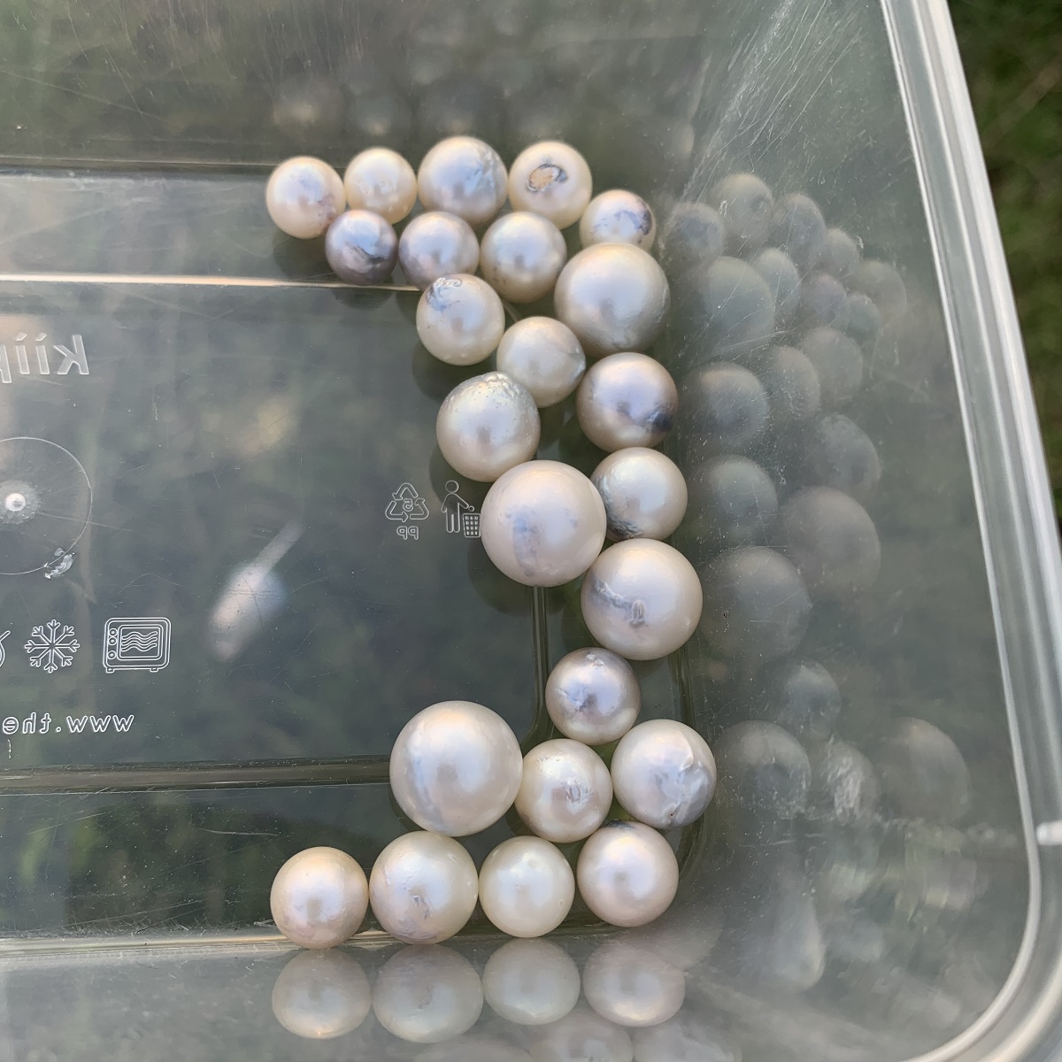 24 Pieces Loose Real Genuine Indonesia Cultured Saltwater South Sea Seawater Pearl Beads H15-1 - Image 5