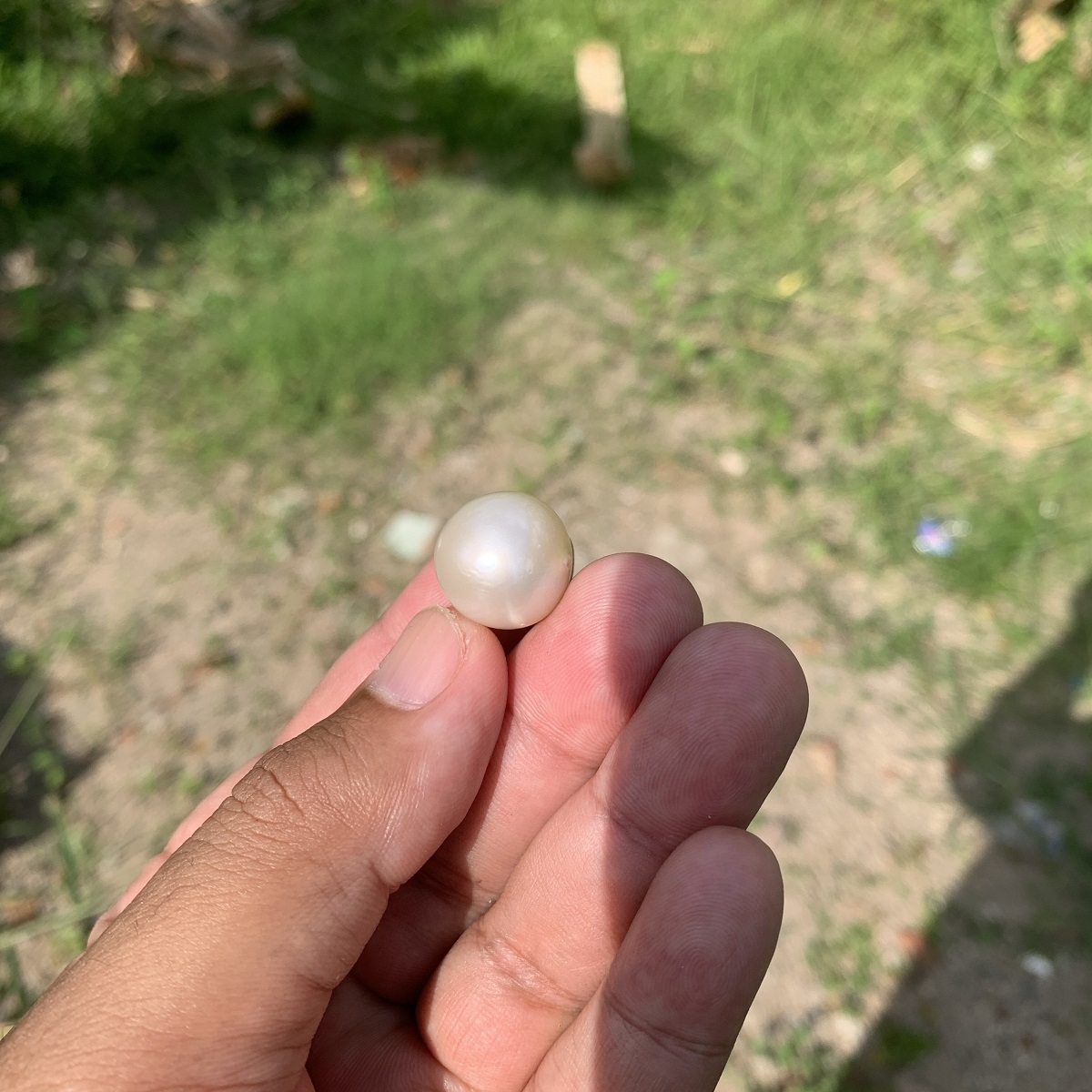 Drill Loose Indonesia Saltwater Pearl South Sea Pearl Beads BoZorX BSP - Image 5