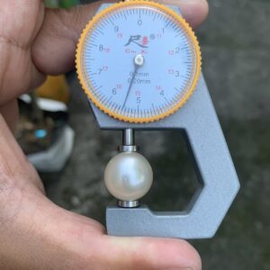 Loose Saltwater Big Size Pearl Bead: Genuine South Sea Pearl FR-11