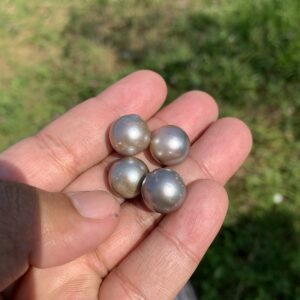 4 Pieces 13mm Tahitian Black Pearl Saltwater South Sea Pearl Beads BoZorX TRJ-22