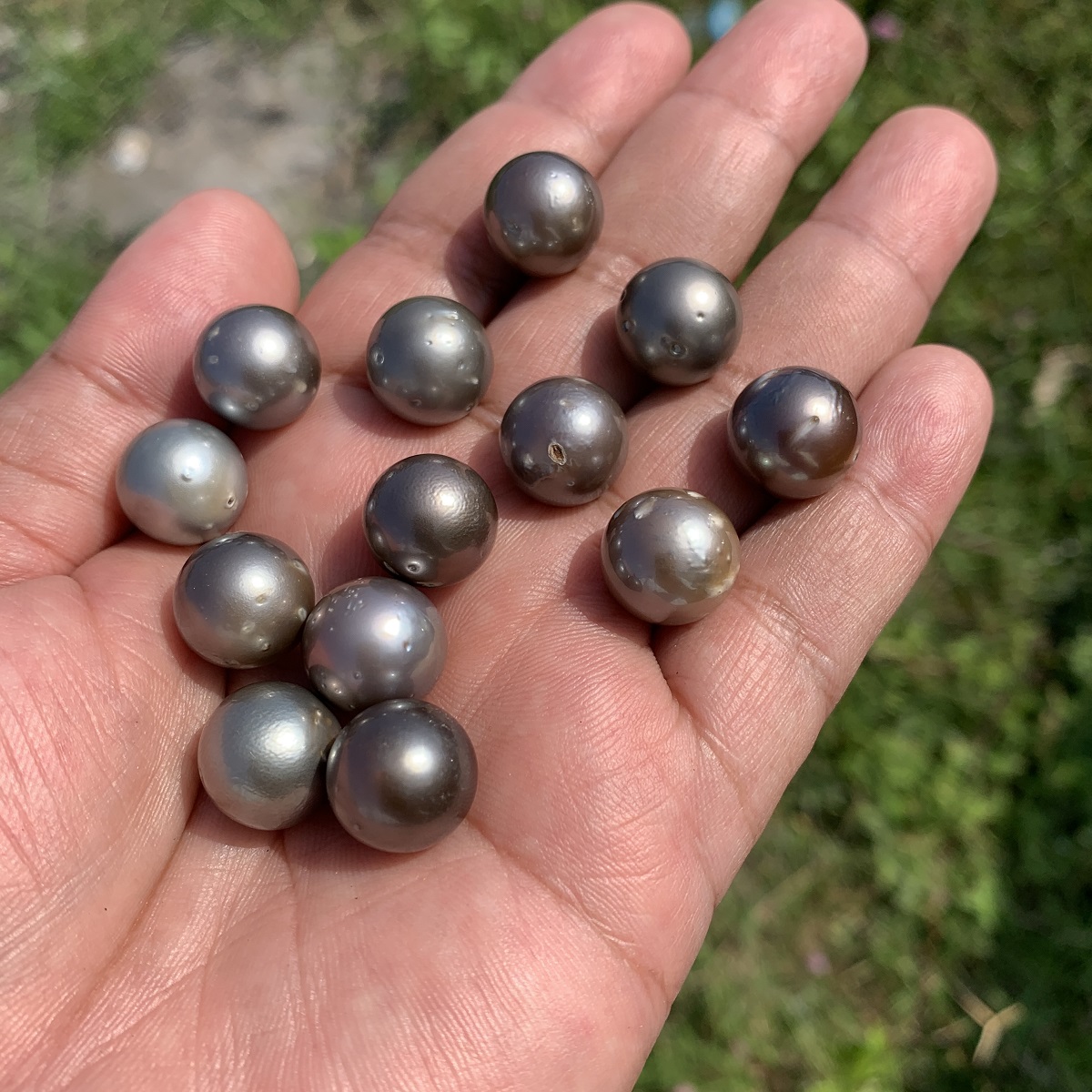 13 Pieces 13.5mm Tahitian Black Pearl Saltwater South Sea Pearl Beads BoZorX TRJ-23 - Image 2