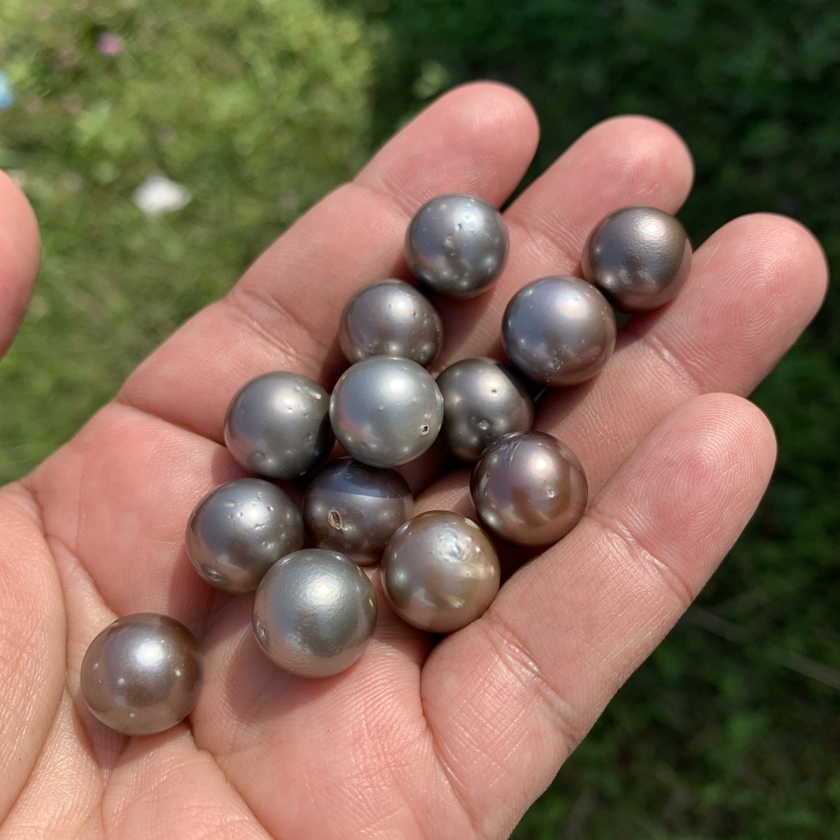 13 Pieces 13.5mm Tahitian Black Pearl Saltwater South Sea Pearl Beads BoZorX TRJ-23 - Image 4