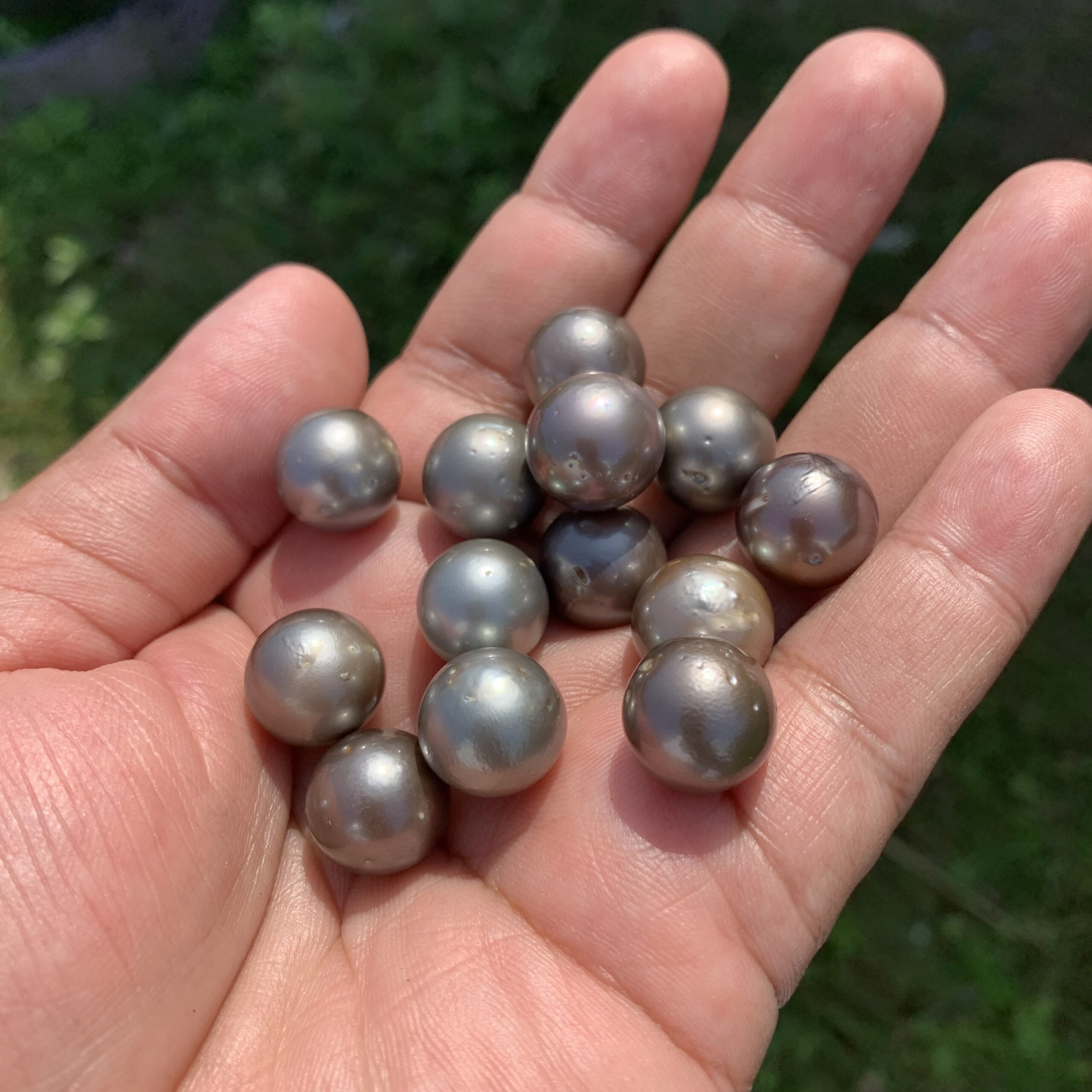 13 Pieces 13.5mm Tahitian Black Pearl Saltwater South Sea Pearl Beads BoZorX TRJ-23 - Image 5