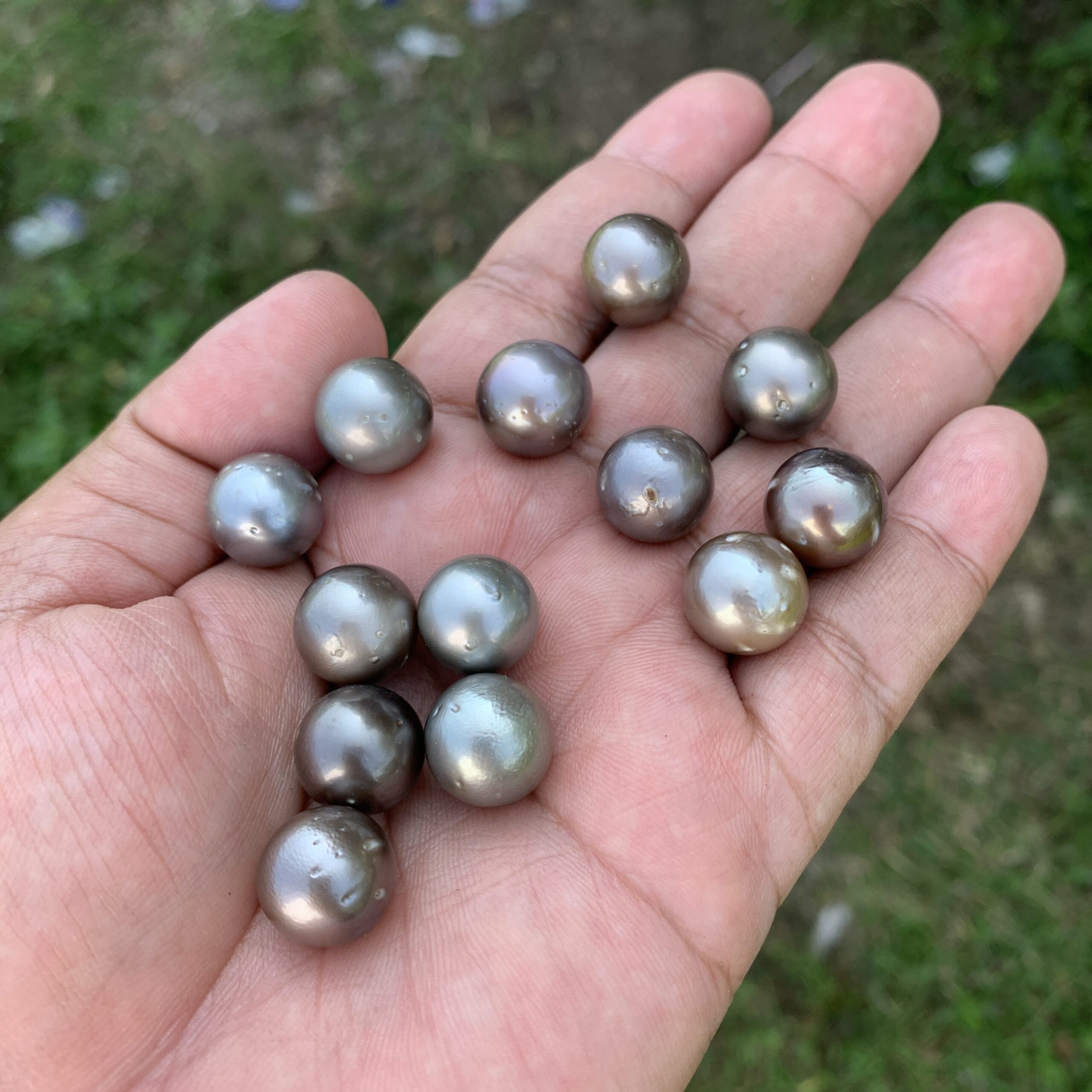 13 Pieces 13.5mm Tahitian Black Pearl Saltwater South Sea Pearl Beads BoZorX TRJ-23 - Image 6