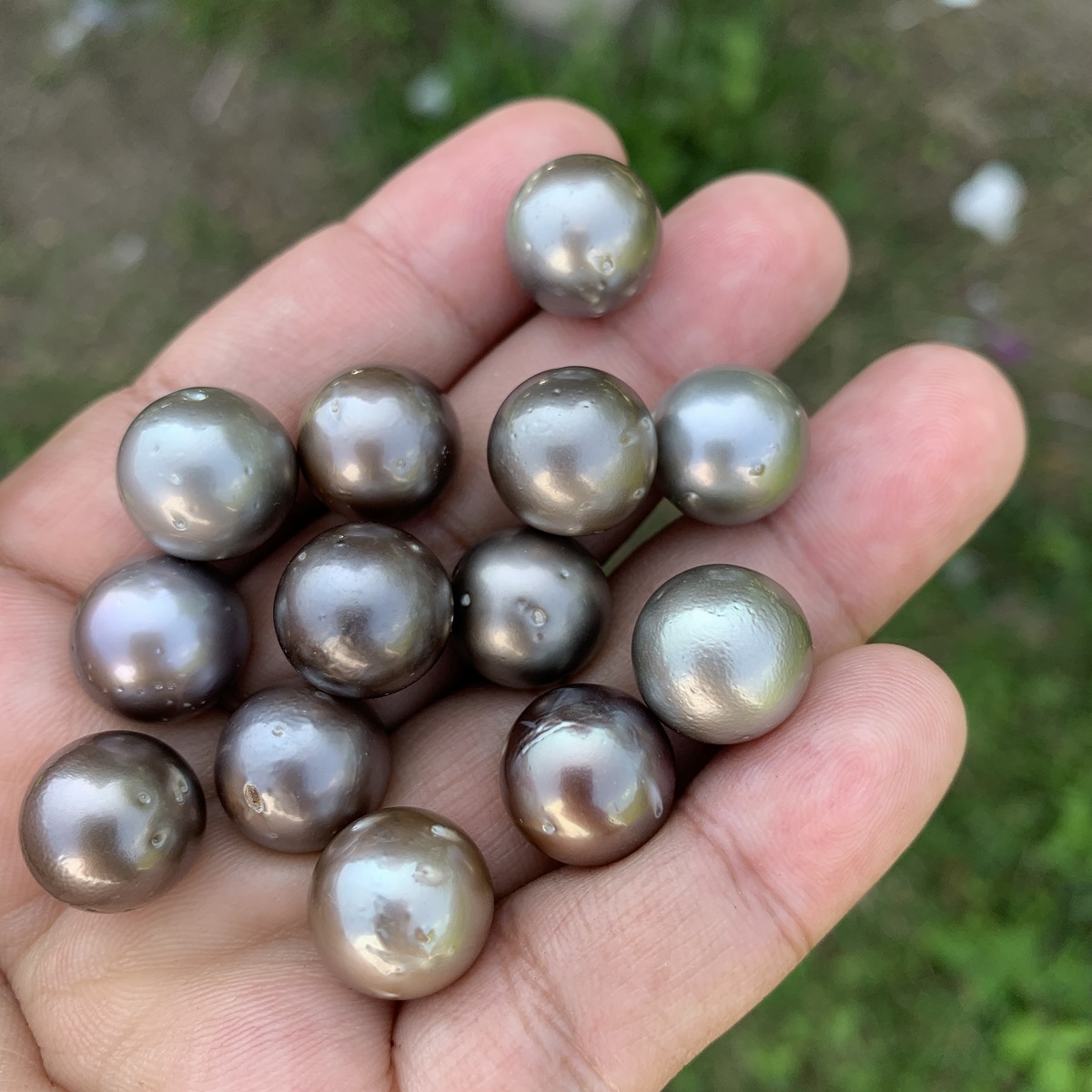 13 Pieces 13.5mm Tahitian Black Pearl Saltwater South Sea Pearl Beads BoZorX TRJ-23