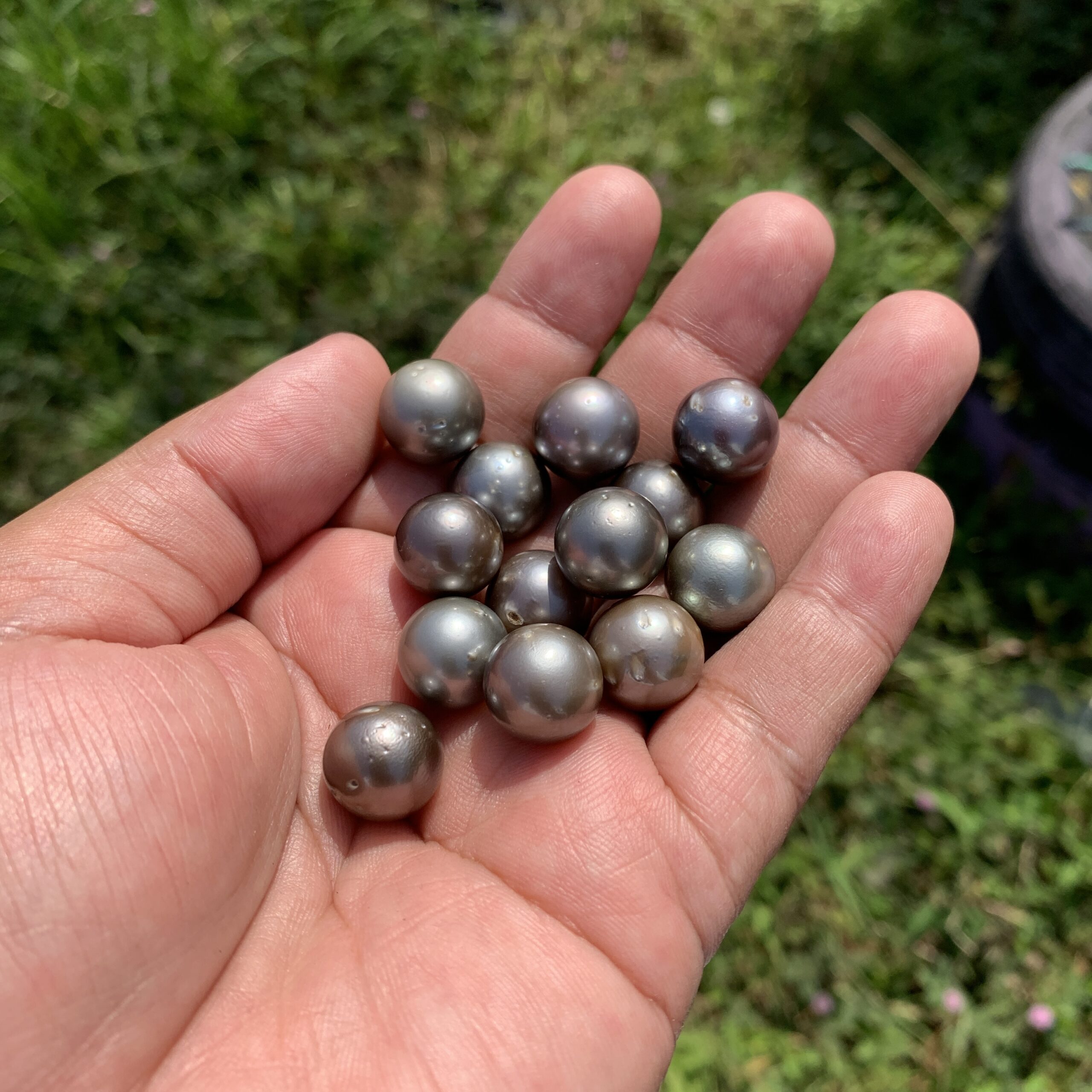 13 Pieces 13.5mm Tahitian Black Pearl Saltwater South Sea Pearl Beads BoZorX TRJ-23 - Image 7