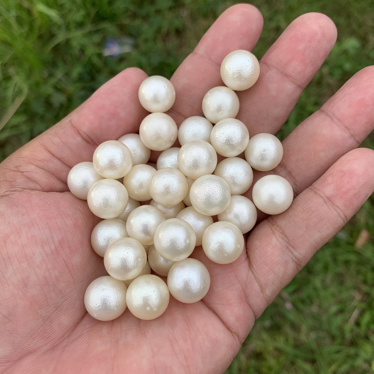 White Saltwater Pearl Necklace: 12-12.4mm Indonesian South Sea Sand Pearls Undrilled GRK - Image 7
