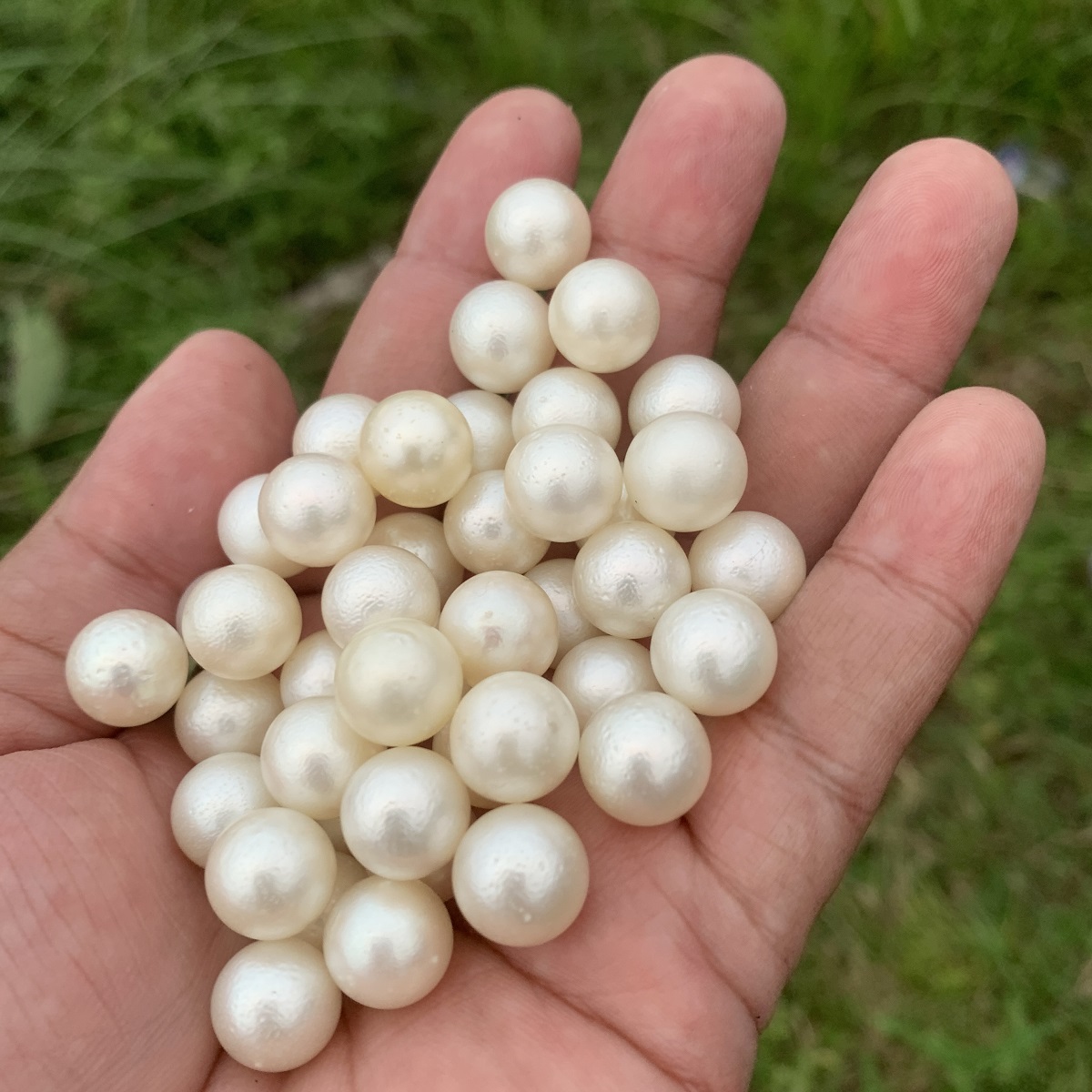 Sand Pearl 58pcs 11.5-11.9mm Indonesia Loose Saltwater Special Pearl Beads BoZorX GRR - Image 4