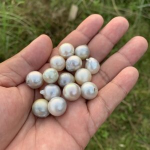 14 Pieces Loose Real Genuine Indonesia Cultured Saltwater South Sea Seawater Pearl Beads TAR-1