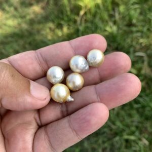 5 Pieces Loose Real Genuine Indonesia Cultured Saltwater South Sea Seawater Pearl Beads TAR-10