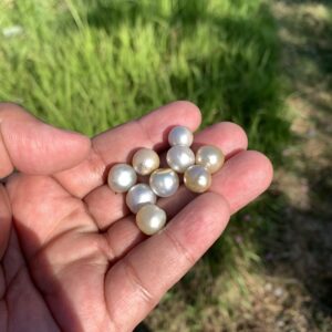 9 Pieces Loose Real Genuine Indonesia Cultured Saltwater South Sea Seawater Pearl Beads TAR-12