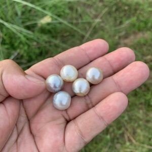 5 Pieces Loose Real Genuine Indonesia Cultured Saltwater South Sea Seawater Pearl Beads TAR-2