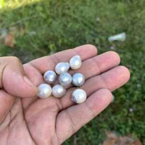 8 Pieces Loose Real Genuine Indonesia Cultured Saltwater South Sea Seawater Pearl Beads TAR-8