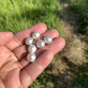 6 Pieces Loose Real Genuine Indonesia Cultured Saltwater South Sea Seawater Pearl Beads TAR-9
