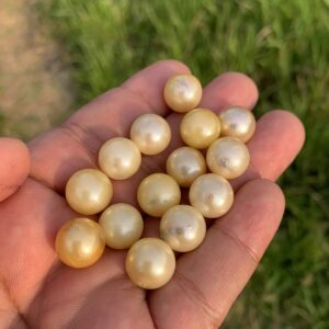 14 Pieces 12mm Loose Real Genuine Indonesia Cultured Saltwater South Sea Seawater Pearl Beads TT-3