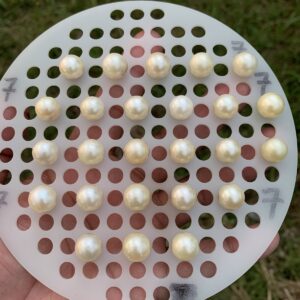 25 Pieces 11mm Loose Real Genuine Indonesia Cultured Saltwater South Sea Seawater Pearl Beads TT-4