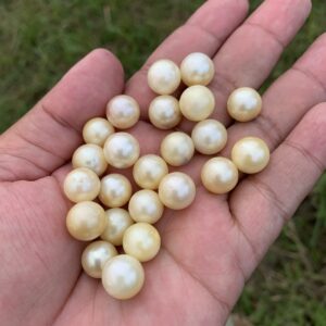 23 Pieces 11mm Loose Real Genuine Indonesia Cultured Saltwater South Sea Seawater Pearl Beads TT-5